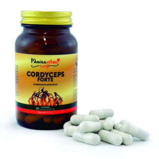 Cordyceps Forte PV (60 cápsulas)